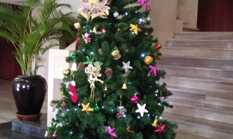Gallery for News